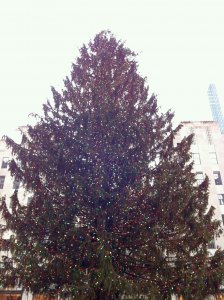 TMOSG-Christmas-Tree-Rockefeller_900