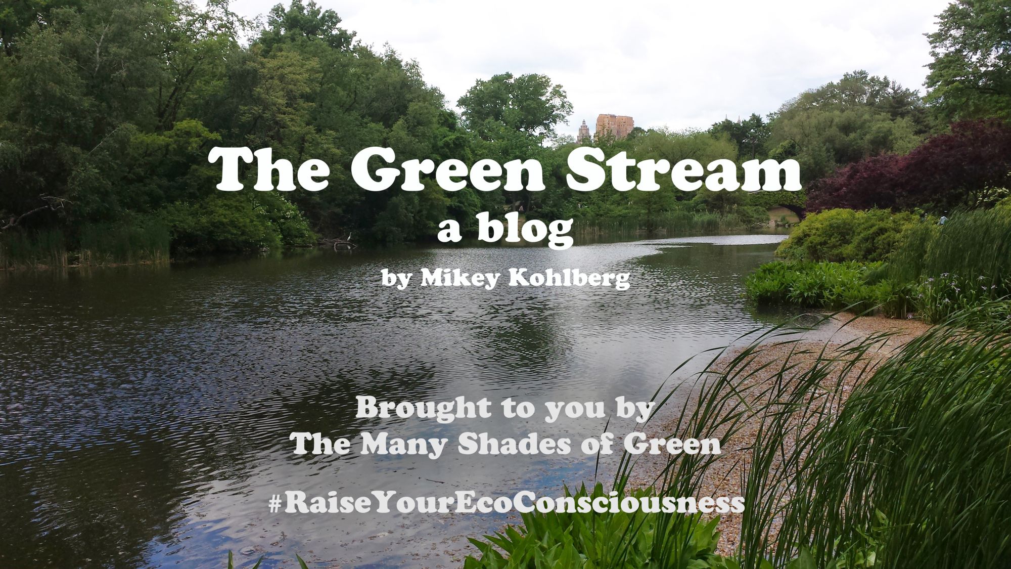 The Green Stream: Welcome to The Green Stream