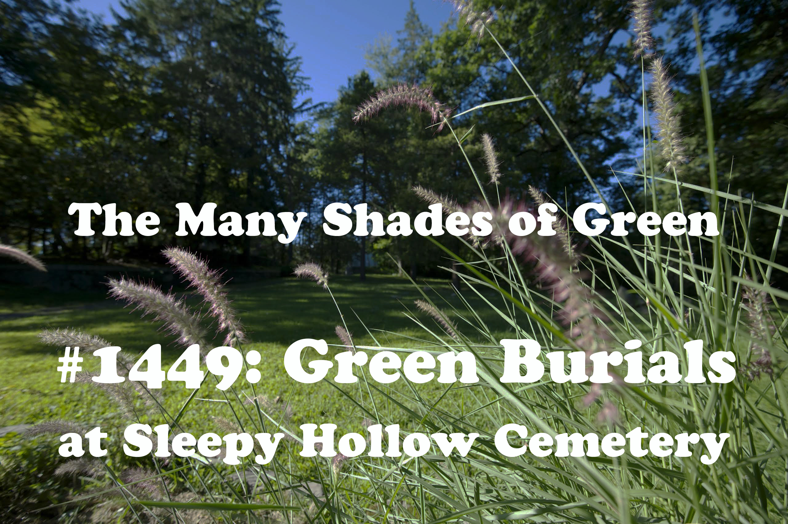 #1449: Green Burials at Sleepy Hallow Cemetery