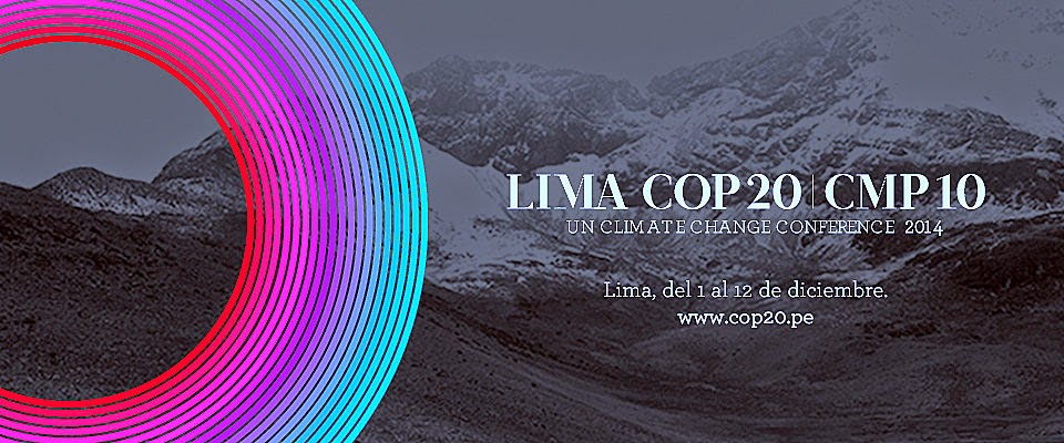 Victory or Failure at Lima COP 20?