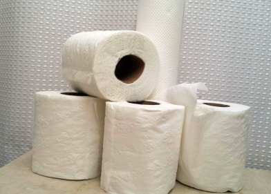 consumerism-toilet-paper-whole-green-simple-life
