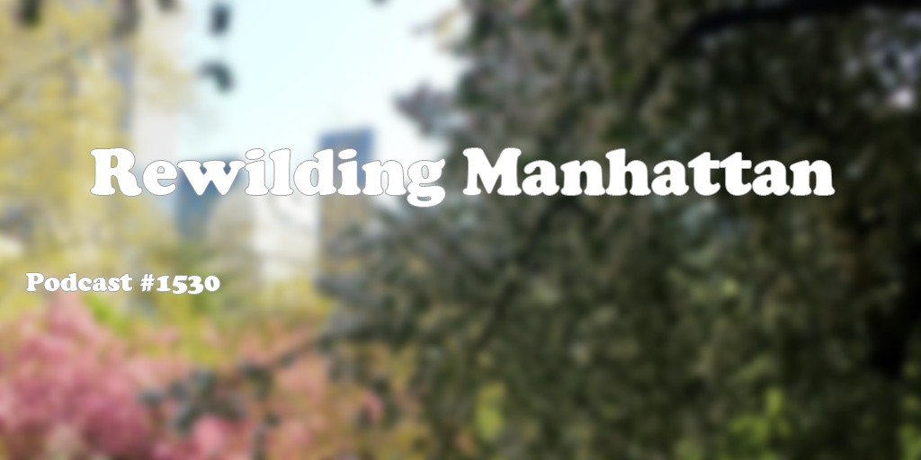 #1530: Rewilding Manhattan