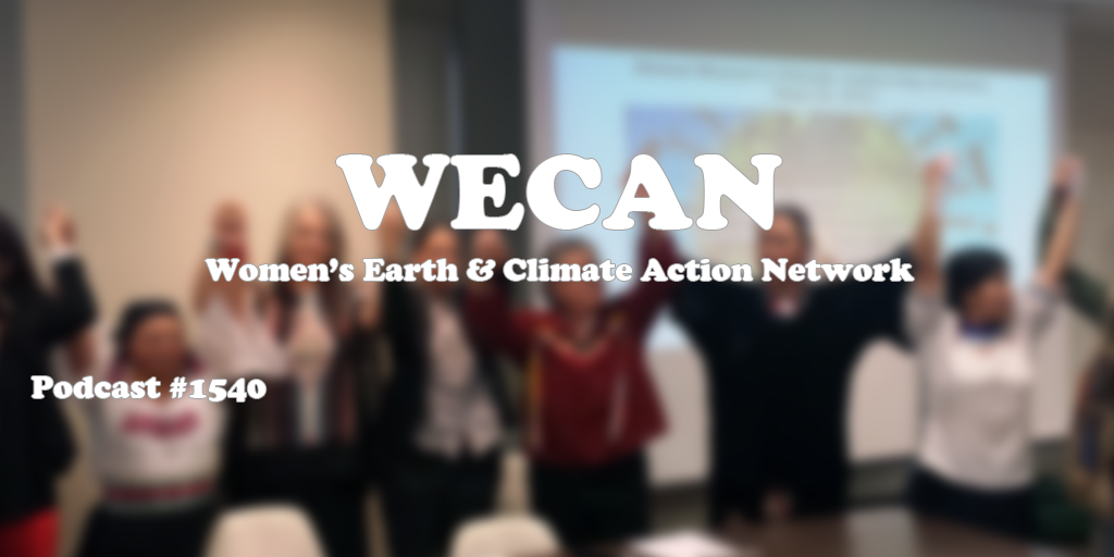 WECAN: Women’s Earth & Climate Action Network